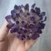 Natural Amethyst Crystal Cluster Raw Geode Geode Druzy Specimen Stone for Reiki Home Decoration 0.7-0.9lbs Gift (Size : 0.4-0.7lbs) - Buy Online on GoSupps.com