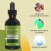 Selenium 200mcg Liquid Drops Supplement - Yeast-Free Herbal Formula with Trace Minerals - 1.0 oz Bottle - Buy Online on GoSupps.com