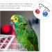 2pcs Harness Adjustable Bird Blue Leash Conure Lovely Traction Wing Training Conical with Pet for S Assorted Color - Buy Online on GoSupps.com