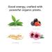 GURU | Original Plant-Based Energy Drink | Recharge with Good Energy from Green Tea | Natural & Organic Ingredients | Healthy Energy drinks to Help Stay Focused | Refreshing Taste | 8.4oz (Pack of 24) - Buy Online on GoSupps.com