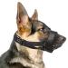 Heele muzzle for dog with a head belt dog muzzle.