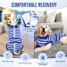 SlowTon Dog Surgery Recovery Suit Female Male - Dog Cat Surgical Recovery Zipper Shirt Neuter Prevent Licking Pet Recovery Cone E-Collar Abdominal Wounds Bandages Alternative(Blue&White L) Large Blue&white - Buy Online on GoSupps.com
