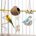 Yue Budgie Toys 7 Pcs Bird Toys Natural Coconut Bird Cage with Ladder Hanging Swing Climbing Hammock Rotated Ladder Wooden Chewing Toy Bells parrot toys for Birds parrots Love Birds Mynah - Buy Online on GoSupps.com