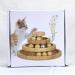 Shop Tarnel Interactive Cat Toys - 3-Level Bamboo Smart Track Ball with Bells | International Shipping Available - Buy Online on GoSupps.com