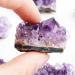Natural Crystal Rough 1/5/10PC 20-30g Natural Purple Brazilian Amethyst Quartz Crystal Cluster Stones Specimen Ornament Home Decor Crafts dingchi (Color : 10pcs) - Buy Online on GoSupps.com