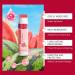 Repair Stick Tinted Lip Balm Moisturizing Butter Longlasting moisture balm for men and women nonirritating labi care - Buy Online on GoSupps.com