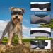 Adiwo Dog Goggles - Waterproof Anti-UV Sunglasses for Small & Medium Dogs | Windproof Safety Glasses with Adjustable Band - Buy Online on GoSupps.com