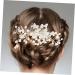 Didiseaon Bridal Comb Wedding Hair Accessories for Brides Flower Girl Hair Accessory Bridal Accessories Prom Hair Accessories Crystal Hair Accessories Manual Alloy Hair Comb - Buy Online on GoSupps.com