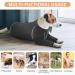 Hjyokuso Dogebody: Anti-Wound Pajamas for Small to Large Dogs | E-Collar Alternative & Wound Protection Suit in Gray - Buy Online on GoSupps.com