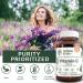 Natural Nutra Vitamin C 500mg Supplement - Immune & Heart Health Support - Youthful Skin & Overall Wellness - 100 Vegan Tablets - Buy Online on GoSupps.com