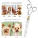 Buy Dream REACH Professional Dog Care Scissors | 7-Inch Chunking Shears | 440C Japanese Stainless Steel | 25%-35% Thinning Rate | International Shipping - Buy Online on GoSupps.com