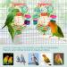 Bbjinronjy Bird Toys for Hanging | Natural Soft Sola Ball for Parrots Budgies & Small Birds - Buy Online on GoSupps.com