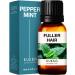 Kukka Pure Peppermint Oil for Hair Growth - 100% Therapeutic Mint Essential Oils - Premium Grade Natural Peppermint Essential Oil for Diffuser Skin & Hair (10ml) Peppermint 10 ml (Pack of 1)
