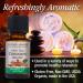 USDA Organic Cinnamon Essential Oil - 100% Pure Aromatherapy Oil for Diffuser | 0.5 fl oz (15ml) | Made in USA - Buy Online on GoSupps.com