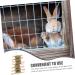 Happyyami Pet Chew Snack Guinea Pig Chewing Playthings Hamster Biting Playthings - Buy Online on GoSupps.com