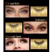 Larbois Magnetic Eyelashes 5 Pairs with Eyeliner Kit - Easy to Wear, Comfortable & Reusable False Lashes in Natural to Gorgeous Styles - No Glue Needed - Buy Online on GoSupps.com