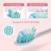 Apiyoo P7 Rechargeable Sonic Electric Toothbrush | 5 Brushing Modes & 2 Min Timer | IPX7 Waterproof | for Adults (White) - Buy Online on GoSupps.com