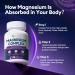 Migcopat Magnesium Complex w/Magnesium Glycinate Malate Citrate | 24-in-1 Magnesium Supplement w/Ashwagandha L-Theanine & NAD+ | Supports Calm Energy Muscle & Sleep | Non-GMO 120 Vegan Caps - Buy Online on GoSupps.com