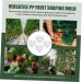 STOBOK 4pcs Melon Forming Gardening Major Molds Garden Design Plastic Fruit Heart Tools Small Strawberry - Buy Online on GoSupps.com