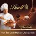 Lindt - Maxi Sachet NUXOR - Chocolat au Lait et Noisettes enti res 700g 1 Unit (Lot de 2) Lait Pack of 2 - Buy Online on GoSupps.com