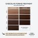 Four Reasons Hair Tinting Conditioner - Chocolate | Natural Regeneration & Intensive Care | Semi-Permanent Brown Hair Color - Gentle Tinting Solution - Buy Online on GoSupps.com