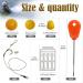 Dovesun Carp Fishing Hair Rigs Carp Rig Kit - 41pcs/151pcs #6 Hooks - Fishing Bait Rigs & Accessories - Buy Online on GoSupps.com
