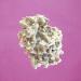 Buy Calcium Algae Powder | Natural Calcium Carbonate from Lithothamnium Calcareum | Bio-Available Minerals | Pureeraw 500g - Optimal Calcium & Magnesium Supplement - Buy Online on GoSupps.com