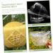 GANAZONO 2pcs Plastic Fruit Mini Watermelon Clear Fruit Transparent Forming Mold Shaper Pumpkin Support Frame - Buy Online on GoSupps.com
