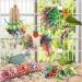 Bird Toys Parakeet Toy Chewing Shredding Foraging Toys Hanging Toy Bird Shredded Paper Bird Cage Accessories Bird Rope Perch for Conure Cockatiel Budgies Lovebird Parrot - Buy Online on GoSupps.com