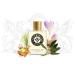 Schwarzlose Treffpunkt 8 UHR - Unisex EDP Spray Fragrance - Long Lasting and Captivating Perfume with Mango Ginger Sage Clary and Vetiver - Body Spray with Aromatic and Fruity Scent - 1.7 oz - Buy Online on GoSupps.com