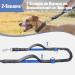 Snocyo Jogging Leash for Medium & Large Dogs - Elastic Reflective Dog Leash with Double Handle & Waist Belt - Perfect for Active Pet Owners - Buy Online on GoSupps.com