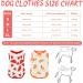 Buy 2 Piece Cotton Dog T-Shirts | Breathable & Lightweight Summer Vests for Small Dogs | Cute Fruit Prints for Chihuahuas & Puppies - Buy Online on GoSupps.com