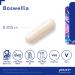 Pure Encapsulations Boswellia Capsules | Supports Healthy Joints, Connective Tissue & Colon | Musculoskeletal System Supplement | 120 Capsules - Buy Online on GoSupps.com