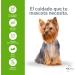MD10 Yorkshire Terrier Dog Shampoo - Long Hair Dog Shampoo - Dog Shampoo - Anti-Itch Dog Shampoo - Dog Shampoo - Buy Online on GoSupps.com