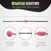 Travel-Sized Cactus Back Scratchers | Mini Back Scratchers with Aggressive & Soft Spikes - Perfect Post-Op Gift - Buy Online on GoSupps.com