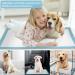 Puppy Pee Pads 22x23 - 100 Ct | Super Absorbent & Leak-Proof Training Pads for Dogs, Cats, Rabbits | Disposable Pet Potty Pads by IMMCUTE - Buy Online on GoSupps.com