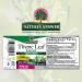 Nature's Answer Thyme Herb Extract - Organic Alcohol, 1oz | Supports Respiratory & Lung Health - Buy Online on GoSupps.com