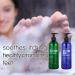 Tea Tree Body Wash & Shower Gel for Jock Itch, Eczema, Ringworm, Body Odor, and Acne - Large 20.2 Fl Oz Bottle - Pack of 2 - Buy Online on GoSupps.com