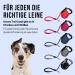 High-Quality 5m Cong Roll-Out Dog Leash for Large Dogs up to 50kg - Comfort Grip Break & Lock System Reflective Belt - Red - Buy Online on GoSupps.com