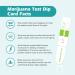 Easy Home Marijuana Test Dip Card: THC Test Kit Quick Urine Drug Test Panel 5 Pack Weed/Cannabis Screen Test Strips Highly Sensitive 50 ng/mL Cutoff -#EDOAP-114 5 Count - Buy Online on GoSupps.com