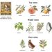 Shop Scented Candles for Tarot - Wheel of Fortune | Wood & Citrus Soy Candles | Mood-Boosting Bergamot Cedarwood Eucalyptus - Buy Online on GoSupps.com