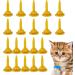 Hudhow's Reusable Silicone Pet Feeding Bottles - Silent Suction Pacifier for Kittens Puppies & Small Animals | Brown Mini Bottle - Buy Online on GoSupps.com