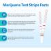 Areta Marijuana THC Test Strips: THC Drug Urine at Home Testing Kits for Over The Counter Use Result in 5 Minutes - Accurate Drug Screen Test 50ng/mL Cutoff Level 15 Pack #ASTH-114 - Buy Online on GoSupps.com