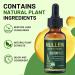 PIRTA Mullein Drops for Lungs Lung Cleanse - Leaf Extract Powerful Mullein for Immune Support Respiratory Support & Lung Cleanse Herbal Supplements - 1.01 fl oz - Buy Online on GoSupps.com