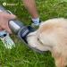 Buy Lumoleaf 800ml Stainless Steel Dog Drinking Bottle - Portable Pet Water Dispenser for Hiking & Camping (Gray) - Buy Online on GoSupps.com
