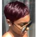 HOTKIS Short Wigs Human Hair Short Pixie Wigs for Black Women Short Wigs Human Hair Pixie Cut Wigs for African Americans Burgundy Short Pixie Wigs (99J)