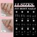 240-Piece Venares Toothed Tips Set - Clear Artificial Toenails for Nail Art | 12 Sizes Glue File & Shaver Included - Buy Online on GoSupps.com