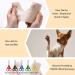 Elastic Cohesive Bandages - 24 Rolls X 5 Yards Self Adhesive Wrap for First Aid & Vet Use | Colorful & Versatile - Buy Online on GoSupps.com