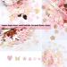 KACHIMOO Nail Glitter Sequins - 12 Grids Gold Pink Flakes for Nail Art Decoration - Buy Online on GoSupps.com