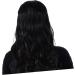 MUSISALY Fluffy U-shaped Wig Hair Clip in Extensions Fake Hair Human Hair Extensions Clip Ins Real Hair Extensions Clip in Human Hair Extensions for Women Clip in Wavy Hair Extensions 45X8CM Black - Buy Online on GoSupps.com
